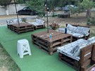 Кипарис19