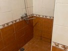 Кипарис13