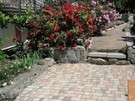 Алустон18