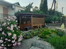 Алустон14