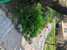 Солн-ривьера23